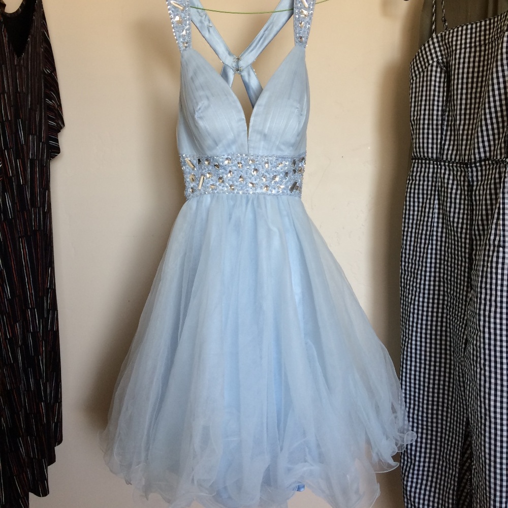 Cinderella tutu dress